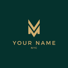 Minimalist Modern VM Logo Luxury