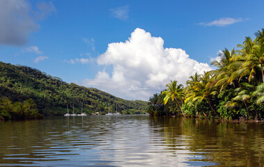 Five catamarans overnight in a calm blue lagoon at the Pacific ocean on an expedition to the...