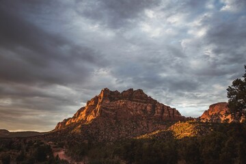 Aerial view of a beautiful forest near the mountains in Utah, USA