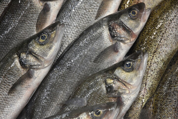 close up of fish at market
