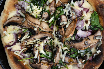 Pizza background. Closeup view of a pizza with mushrooms, spinach, mozzarella and parmesan cheese, fresh in the pizza pan.