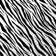 Zebra pattern