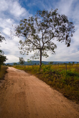 Caminho de terra em Minas Gerais