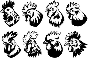 Head of rooster set. Cock abstract character illustration. Graphic logo designs template for emblem. Image of portrait for company use.