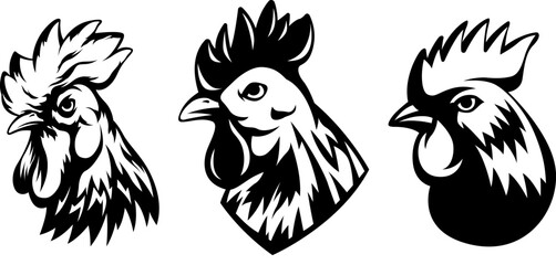 Head of rooster set. Cock abstract character illustration. Graphic logo designs template for emblem. Image of portrait for company use.
