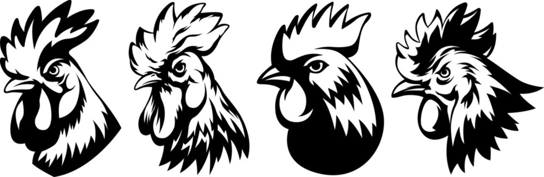 Head of rooster set. Cock abstract character illustration. Graphic logo designs template for emblem. Image of portrait for company use.