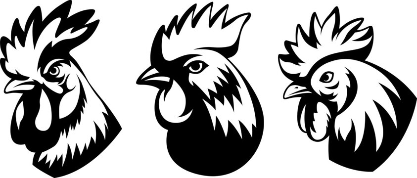 Head of rooster set. Cock abstract character illustration. Graphic logo designs template for emblem. Image of portrait for company use.