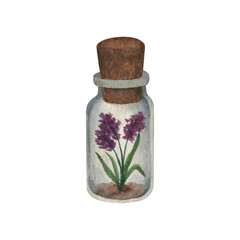 Glass small jar with village provence lavender and cork cover. Hand drawn watercolor clipart