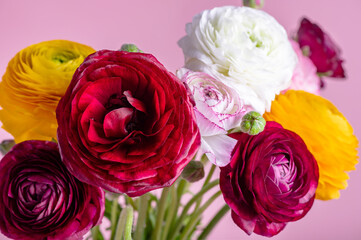 Floral arrangments of tender ranunculus flowers