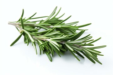 Fresh rosemary herb leaves isolated on the white background. Generative AI