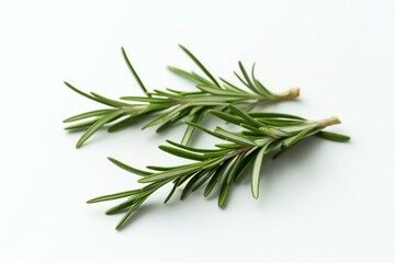 Fototapeta premium Fresh rosemary herb leaves isolated on the white background. Generative AI