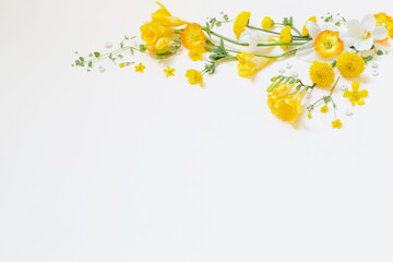 yellow flowers  on yellow paper background