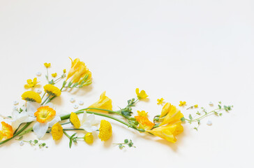 yellow flowers  on yellow paper background