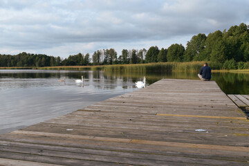 Molo z widokiem na jezioro oraz pływające po nim białe łabędzie.  © Klara