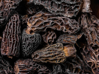 super macro shoot of dried morel mushrooms very close in detail. Ideal food background.