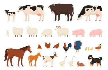 Various village farm animals. Domesticated cattle and domestic birds. Vector illustration