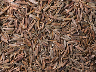 Pile of cumin seeds very close up food background