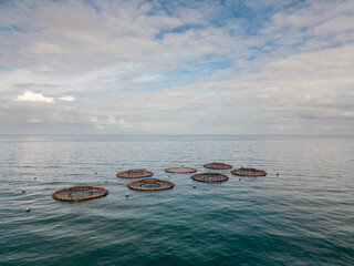 Salmon fish farm aquaculture. Aerial drone view of fish farm cages off the Antrim coast in Northern Ireland