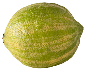 Close-up of pink striped lemons on a white background in PNG format