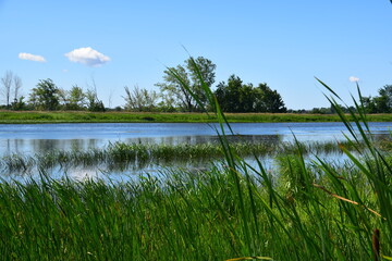 Ruisseau de Feu on north shore of montreal