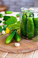 Preparation of salty pickled cucumbers with herbs, garlic and dill. Recipe of homemade preservations crunchy gherkins with salt. Healthy organic food.