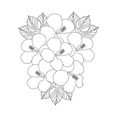 Hibiscus Flower Coloring page Hand Drawn illustration With Line Art  