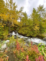Rocky creek bed in an Autumn landscape scene - 593065453
