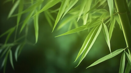 Fototapeta na wymiar Relaxing lush green bamboo grove background. Based on Generative AI
