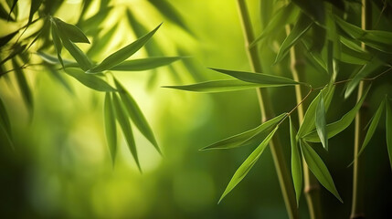 Fototapeta na wymiar Relaxing lush green bamboo grove background. Based on Generative AI