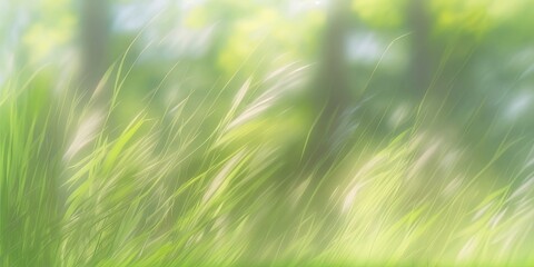 Obraz premium Blurred focus on a light, airy spring and summer natural background. In the open air, in nature, wild grass sways in the breeze. Generative AI