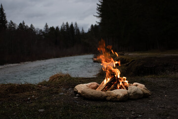 campfire in the forest