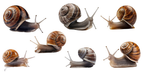 Snail set over png background created with Ai technology