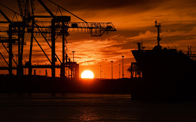 Fototapeta na wymiar A large ship and container cranes at sunset.