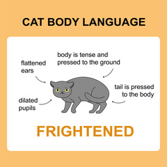 Cat body language behavior frightened signals. Card with information for veterinarian or education ready for print