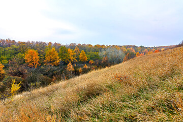 Autumn landscape in mountains with golden forest and blue sky in October.