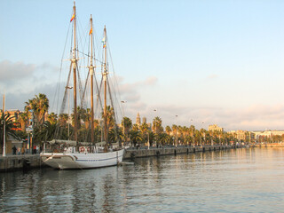 A large beside a tree-lined boulevard with beautiful golden lighting.  Image has copy space.