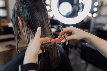 Cropped photo of woman hairstylist making hairstyle, brushing wet hair with pink comb, holding scissors near ring lamp.
