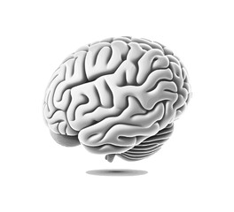 Gray brain. Vector illustration desing.
