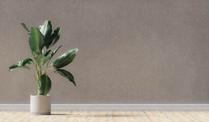 Mock-up of a generic room with rough concrete wall, wood floor and a plant, 3d rendering. Template and background of a living room or a hall with copy space