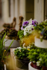 View from the city Morges, Switzerland