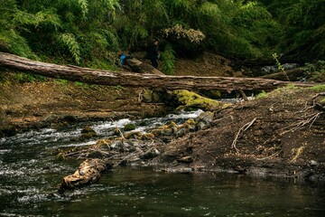 Parque Nacional Conguillío, 9na región de chile
