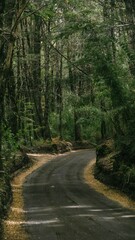 Parque Nacional Conguillío, 9na región de chile