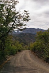 Fototapeta na wymiar Parque Nacional Conguillío, 9na región de chile