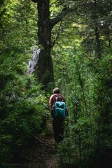 Parque Nacional Conguillío, 9na región de chile