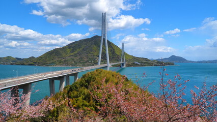 Fototapeta premium 大三島多々羅展望台からの多々羅大橋1