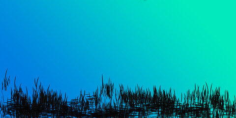 Obraz premium grass and sky background