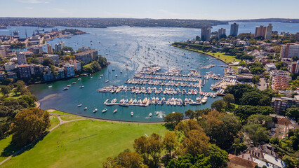 Fototapeta premium Aerial drone view of Darling Point and Rushcutters Bay in East Sydney, NSW Australia on a sunny day