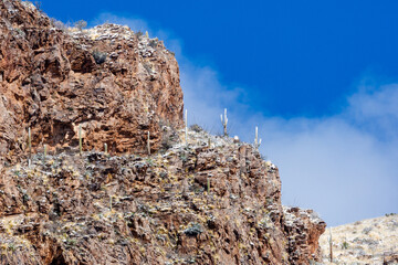 Beautiful snow covered saguaro cacti in Pima Canyon during a rare snow storm in the Sonoran Desert. Beautiful winter scenery in the American Southwest. Tucson, Arizona, USA. March 2nd of 2023.