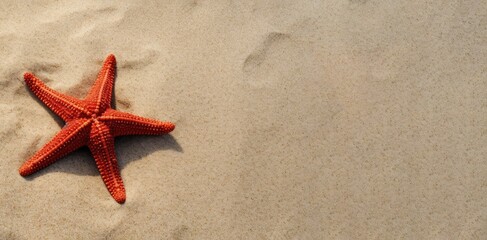 High angle of bright red starfish resting on sandy beach during sunny summer day. Generative AI