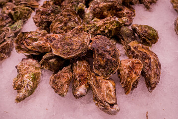 mussels on a market stall